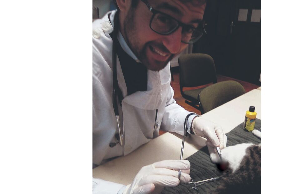 Pedro Frazão fez cirurgia numa sala de reuniões sem condições 