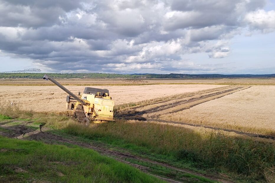 Máquina em que ocorreu o acidente
