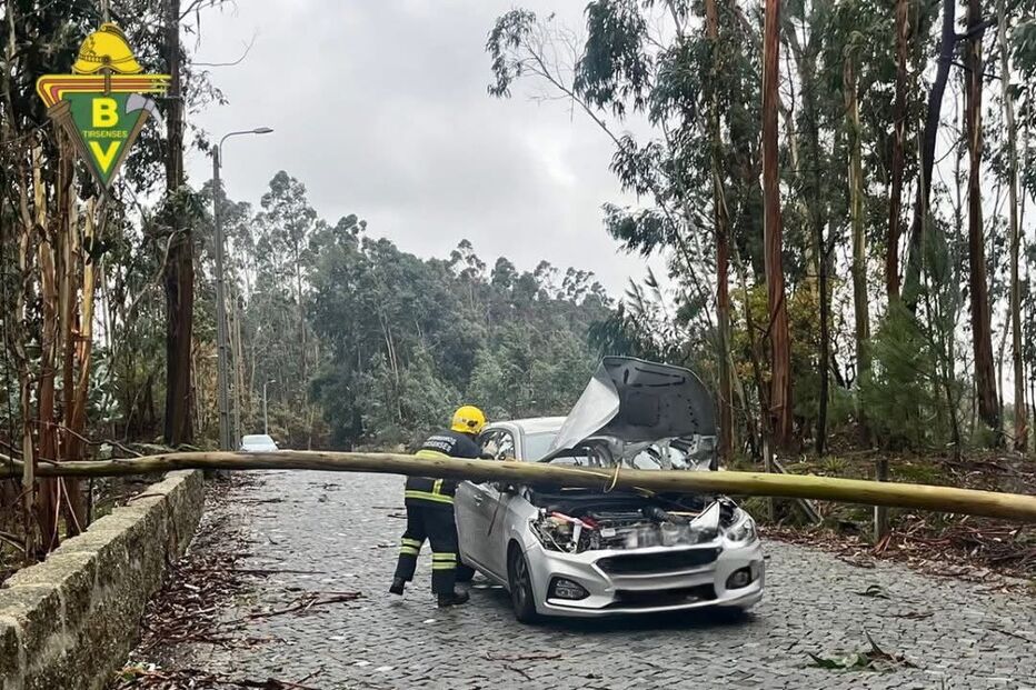 Árvore atingiu um carro em Santo Tirso
