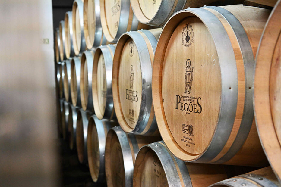 Adega de Pegões eleita melhor produtor de vinho do mundo no Canadá pelo 2º ano