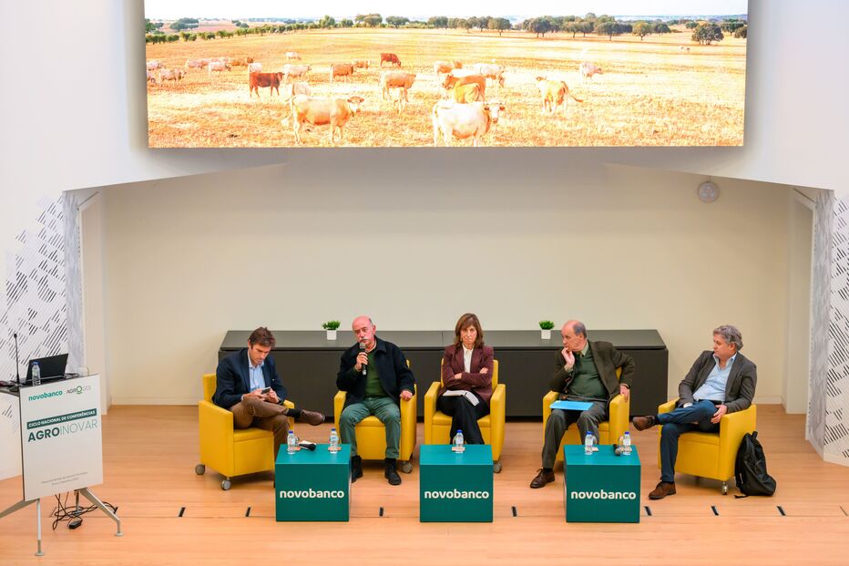 Produtores, indústria, distribuição e peritos debateram o presente e o futuro da fileira do gado bovino em Évora
