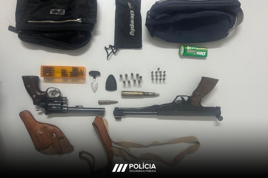 Detido por violência doméstica com armas de fogo