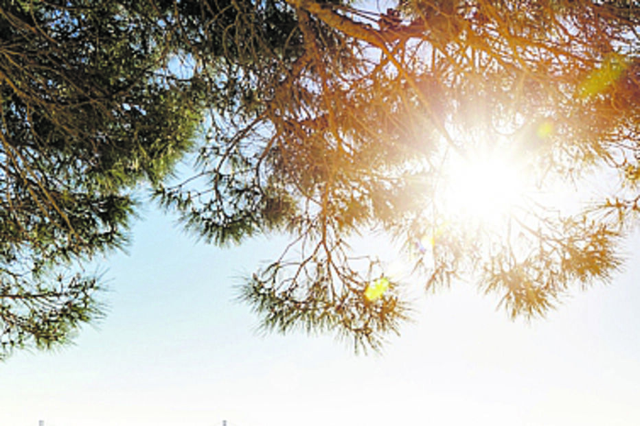 A Crise na Habitação foi  o 2.º Facto do Ano para a redação do Correio da Manhã