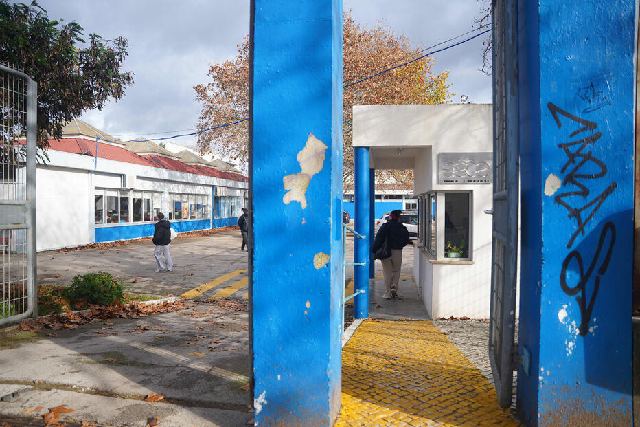 Professora Ana Mafalda Alves morre na escola no Entroncamento