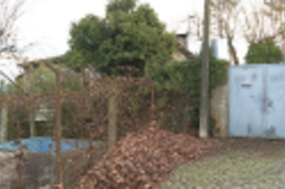 PJ deteve homicida de Teresa de Jesus Oliveira, de 71 anos, em Braga