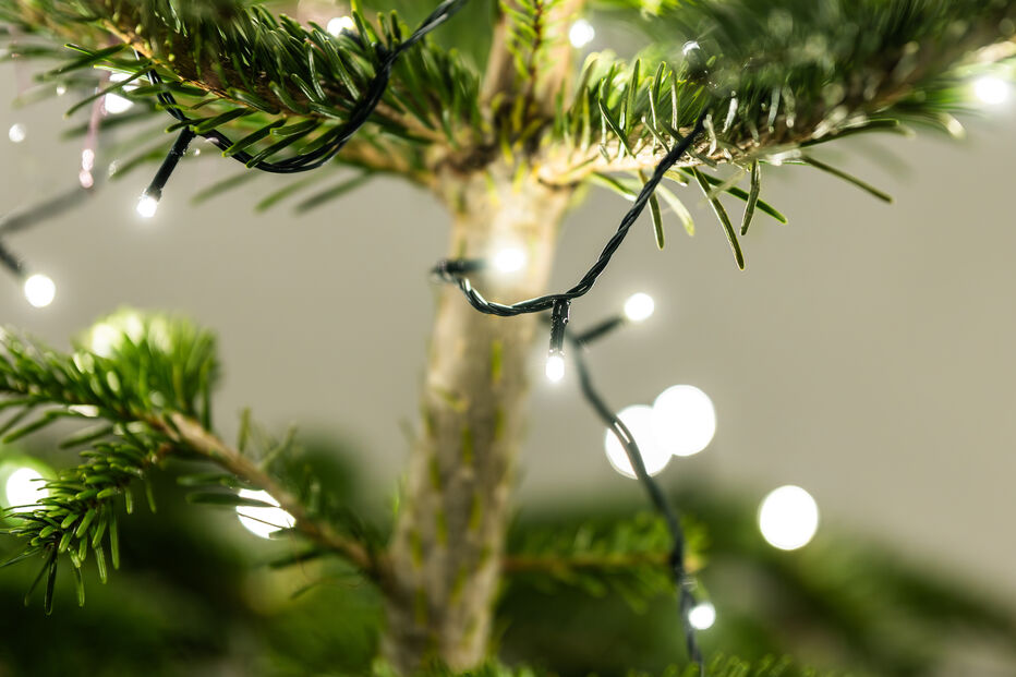 Luzes na árvore de Natal