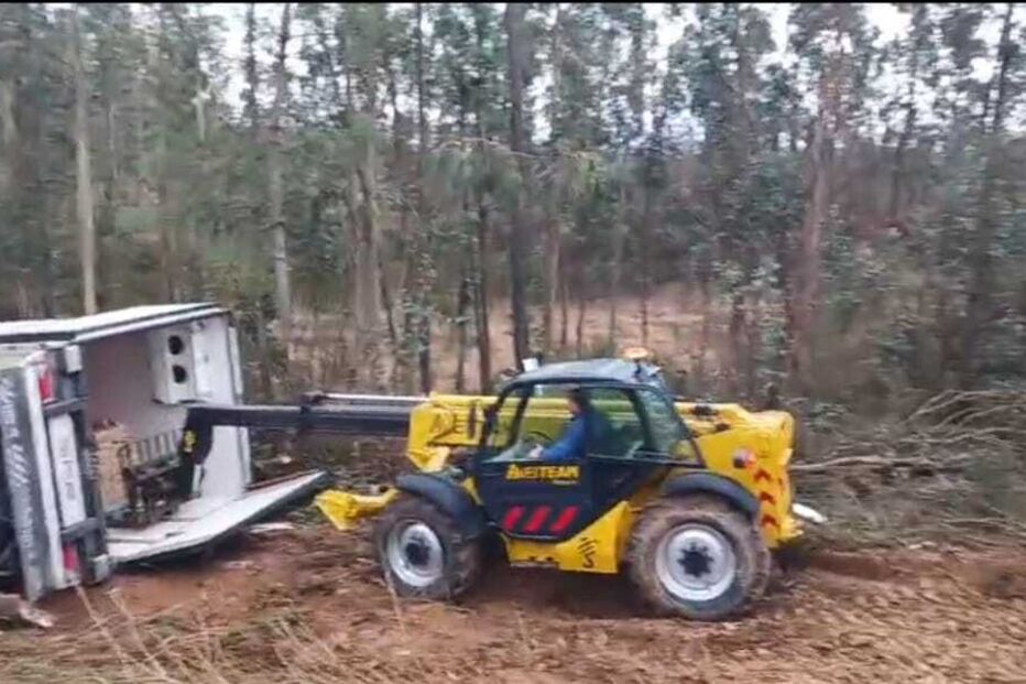 Despiste de camião em Estarreja