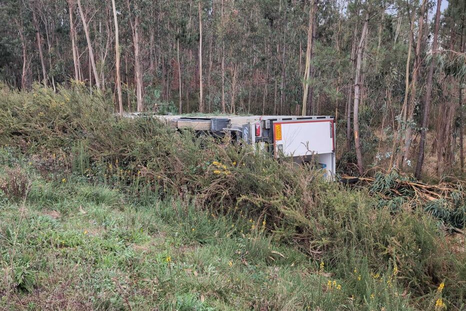 Despiste de camião em Estarreja