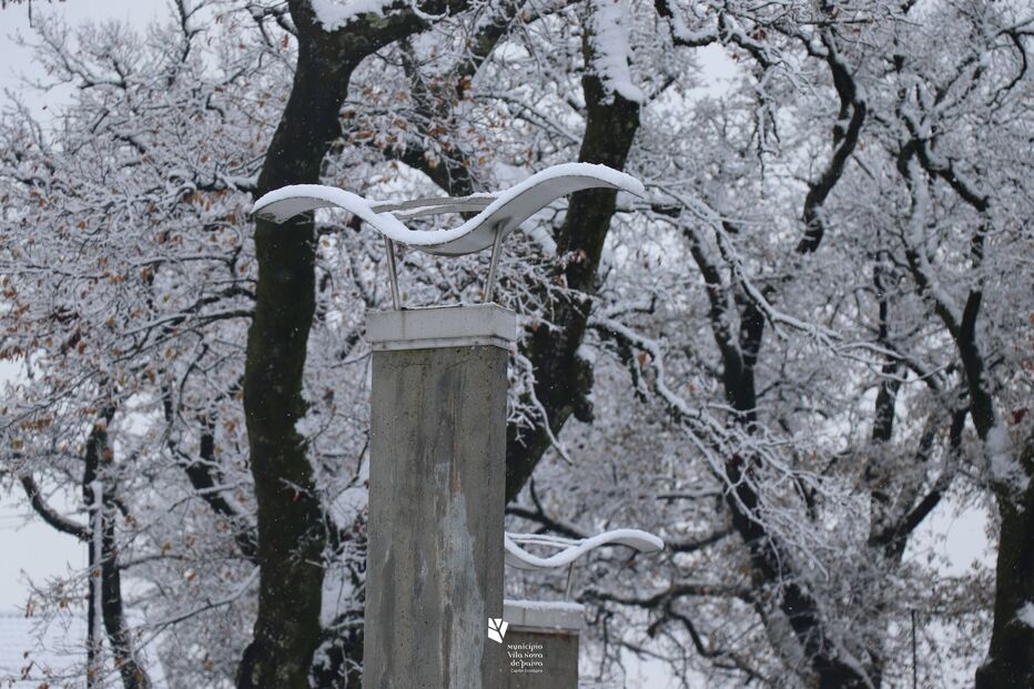 Queda de neve no município Vila Nova de Paiva