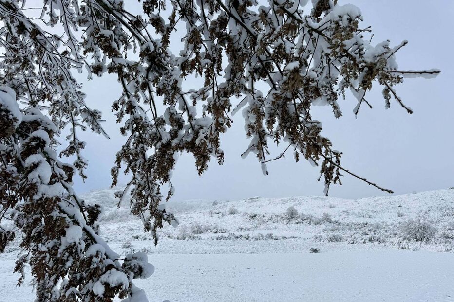 Município de Montalegre também acordou pintada de branco