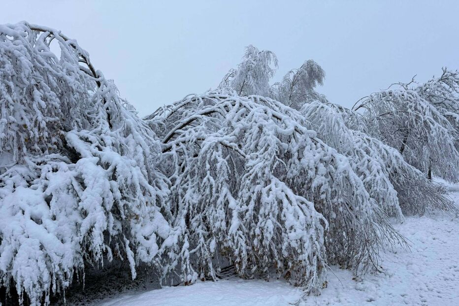 Município de Montalegre também acordou pintada de branco