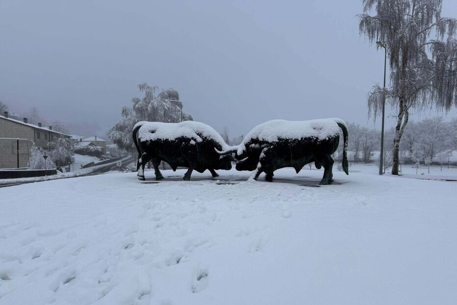 Município de Montalegre também acordou pintada de branco