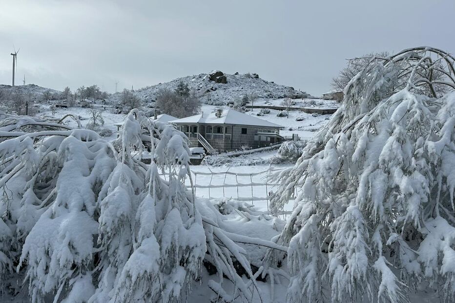 Gralheira, na serra de Montemuro, concelho de Cinfães, acordou cheia de neve