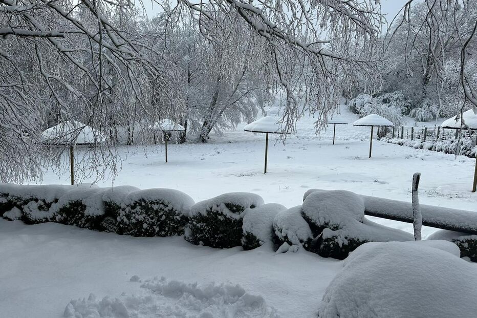 Gralheira, na serra de Montemuro, concelho de Cinfães, acordou cheia de neve