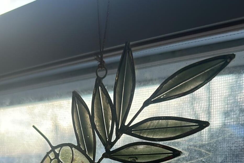 Caitlynn Lopes de 30 anos, tenta 