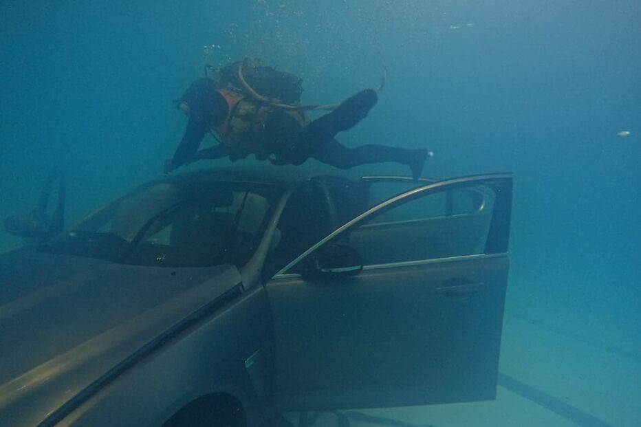Operação especial ''resgata'' Jaguar… do fundo duma piscina