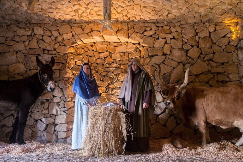 Presépio natalício com Maria, José, um burro e uma vaca
