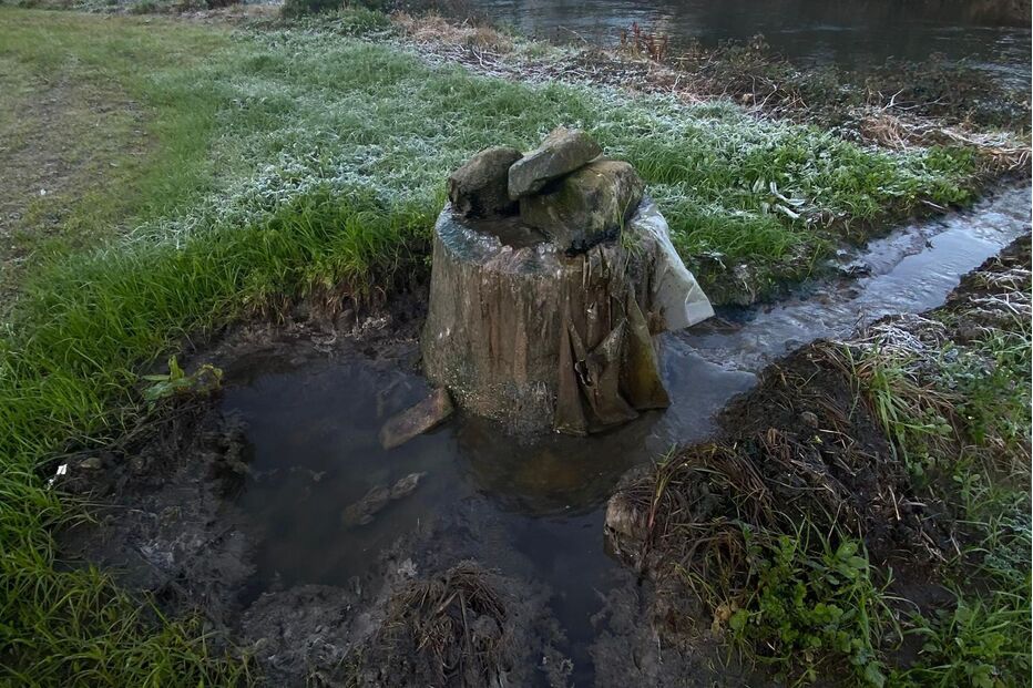 Paisagem rural com curso de água e vegetação coberta de geada