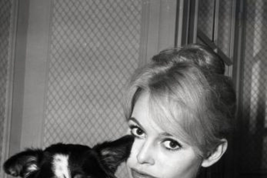 Brigitte Bardot, ícone do cinema francês, faleceu aos 91 anos.
