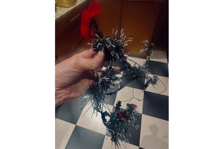 Sónia Tavares, story