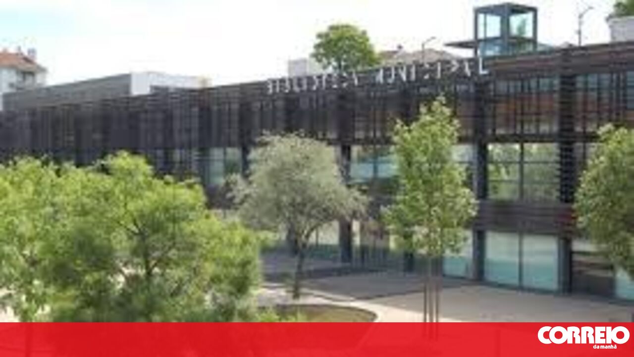 Renaming of the Castelo Branco Municipal Library sparks controversy
