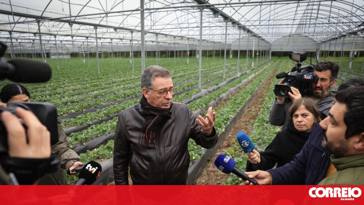 Seguro tastes strawberries with no flavour of premature victory after being told "you're already president"