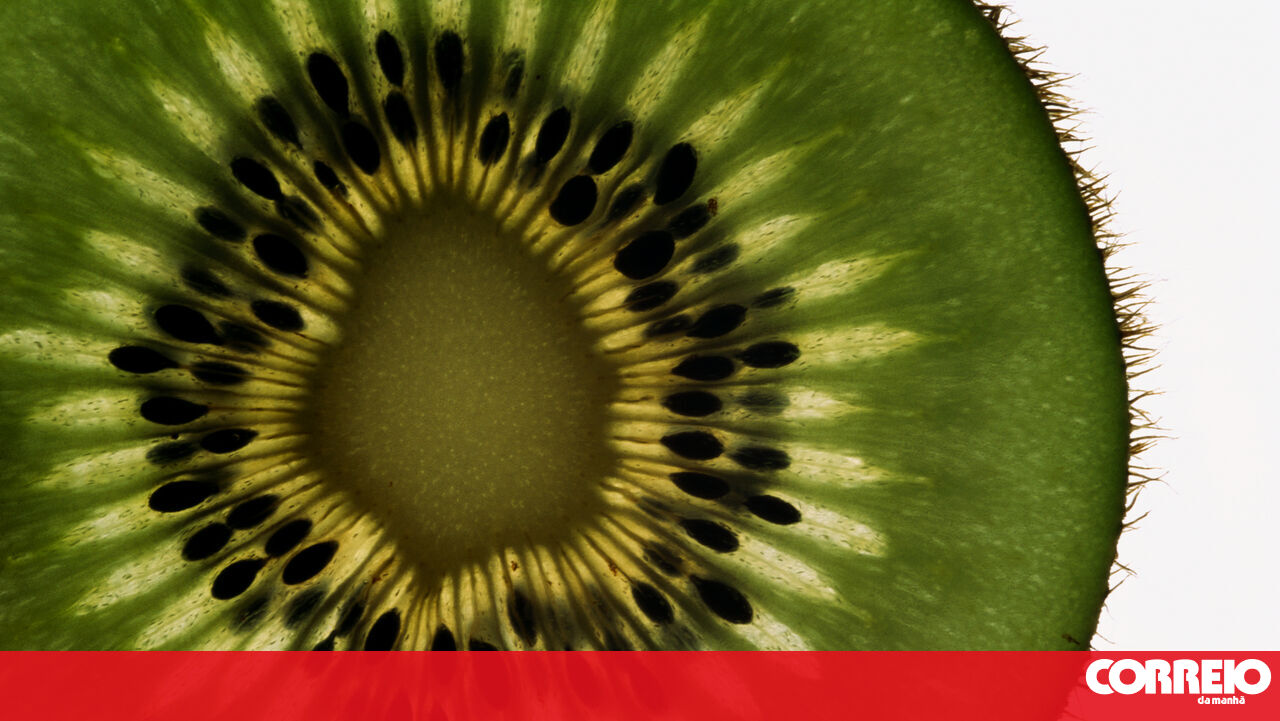 How a kiwi can improve your health in as little as 24 hours