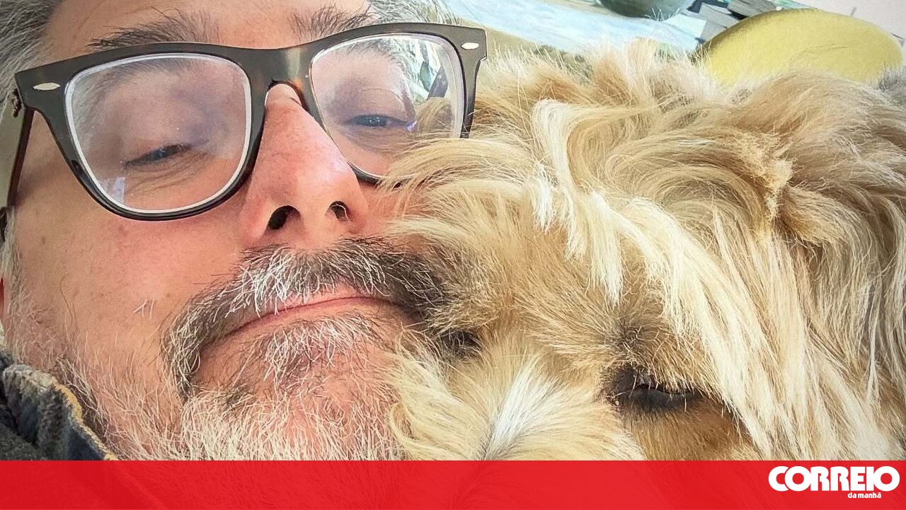 Nuno Markl returns home and is greeted with a wave of love... and fur