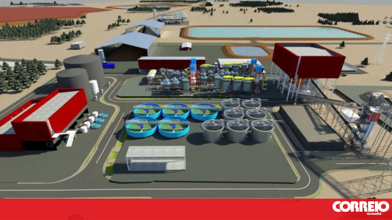 Copper and zinc mining rejected