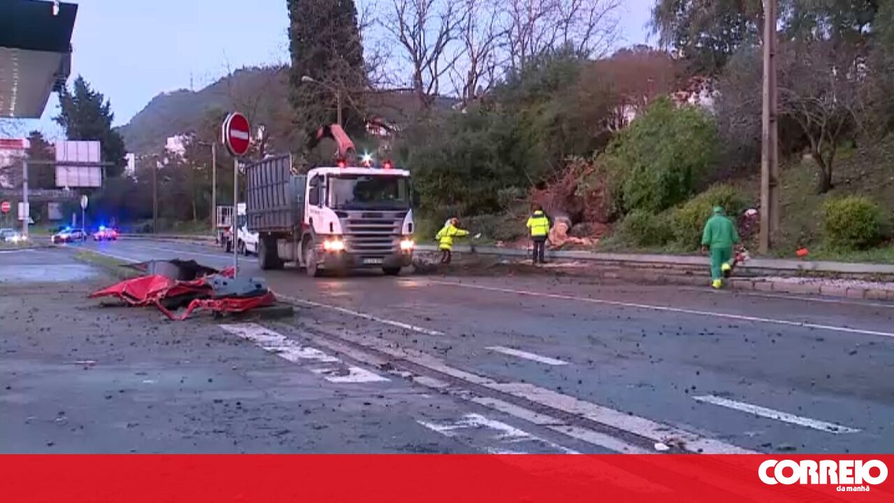 One person dead after tree falls onto car in Vila Franca de Xira