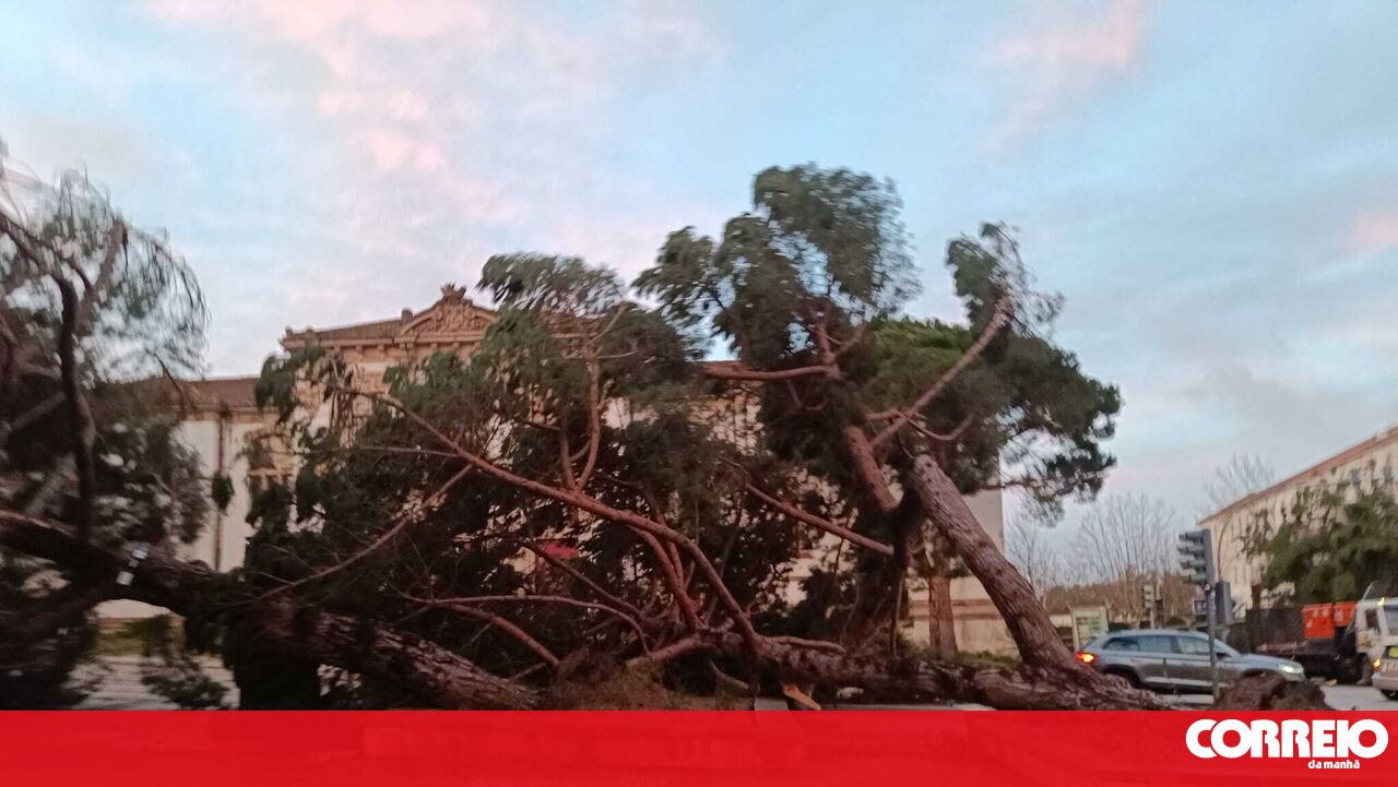 Mayors of municipalities hit by bad weather say PRR measures are 'generic'