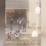 PSP investiga tiros junto a crianças na Alta de Lisboa