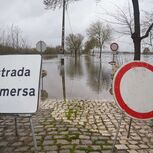 Cheias do Tejo inundam campos e estradas na bacia do rio