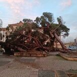 Rastos de mau tempo na cidade de Leiria