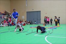 Alunos do 1.º ciclo vão ter Educação Física a partir do próximo ano letivo