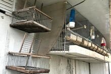 GNR Porto - Apreensão