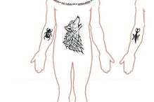 PJ lança apelo para identificar cadáver na Madeira 