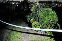 Viciado em jogo mata tio com três golpes de ferro e queima o corpo em Felgueiras