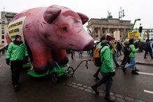 Manifestação em Berlim contra acordo UE-Mercosul com porco gigante