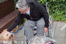 Nuno Markl, em cadeira de rodas, acaricia os seus cães após regressar a casa