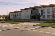 Ministério Público quer condenação de idoso por enforcar cães