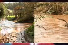 Um morto e dois feridos após veículo todo-o-terreno cair em ribeira no Cadaval