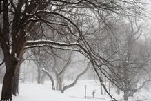 Nevão no Central Park, em Nova Iorque