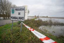 Subida do Tejo inunda campos agrícolas e deixa estradas submersas