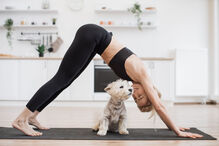 Alongar, respirar fundo... e fazer festinhas. Vem aí uma sessão de Doggy Yoga para apoiar a União Zoófila