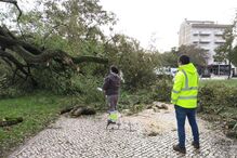 Tempestade 'Kristin' liberta suspeito de violência doméstica em Pombal