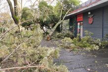 Kristin deixa rasto de destruição no concelho de Santarém