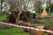 Efeitos do mau tempo devido à passagem da depressão Kristin em Setúbal