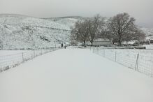 Neve em Casais de Folgosinho-Quintas de Montanha