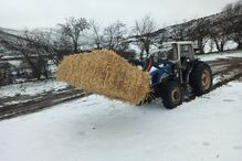 Neve em Casais de Folgosinho-Quintas de Montanha
